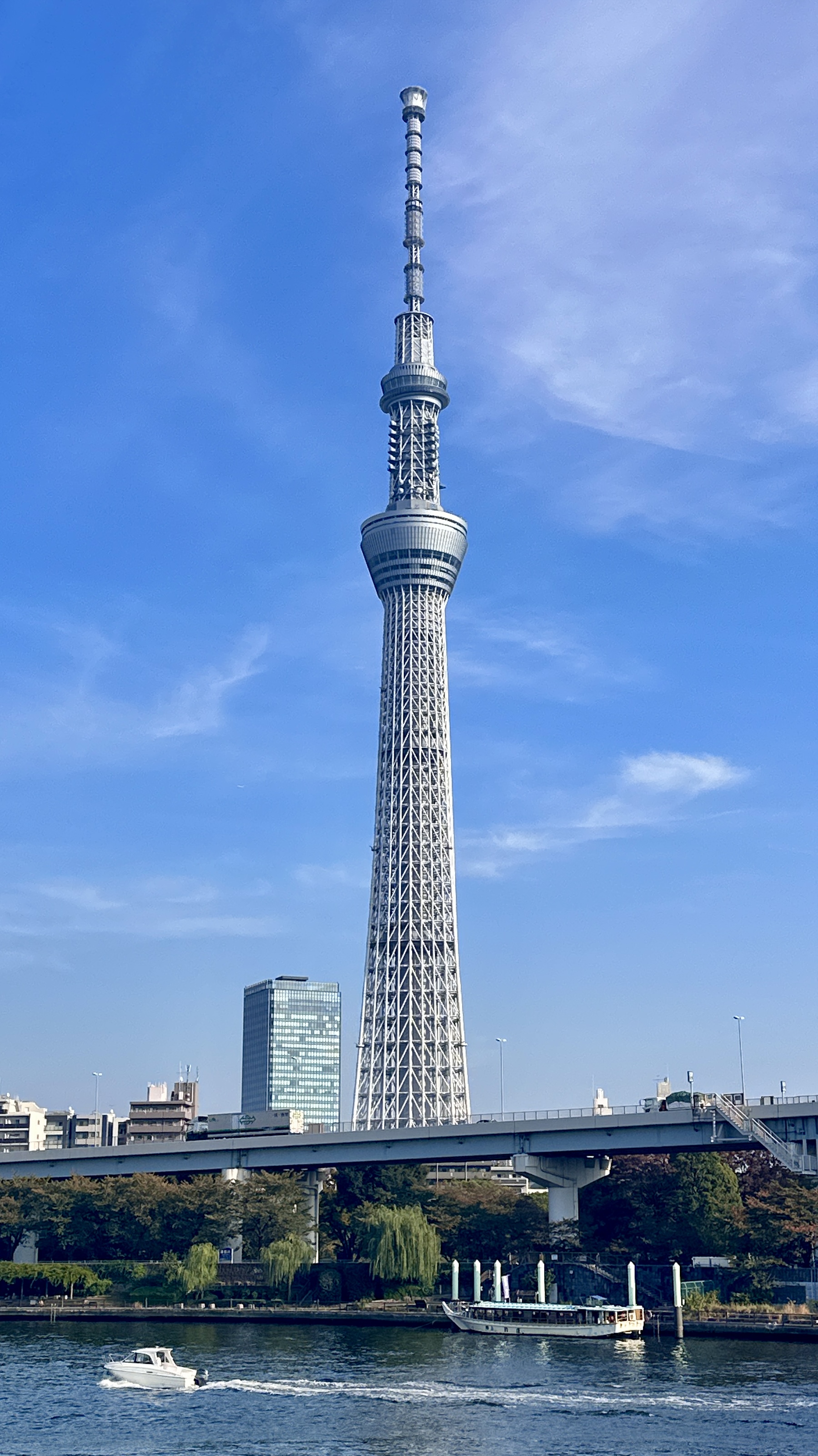 东京晴空塔 参考图 1