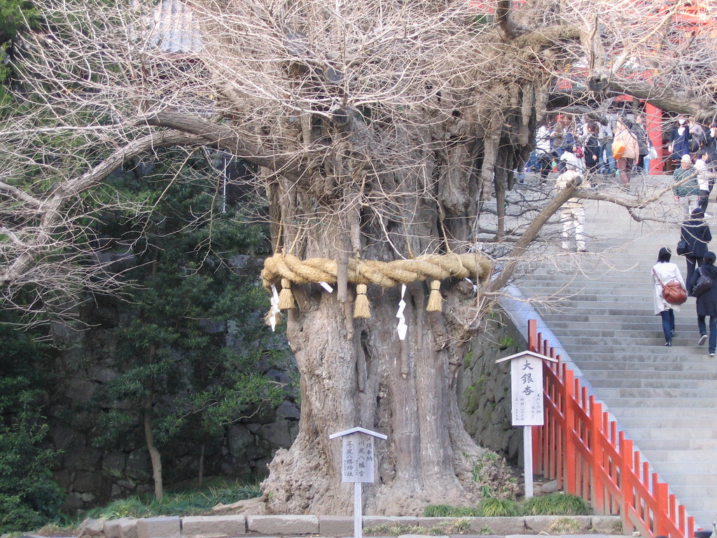 鹤冈八幡宫 参考图 1